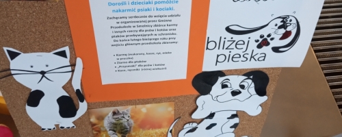 Zbiórka dla zwierząt ze schroniska